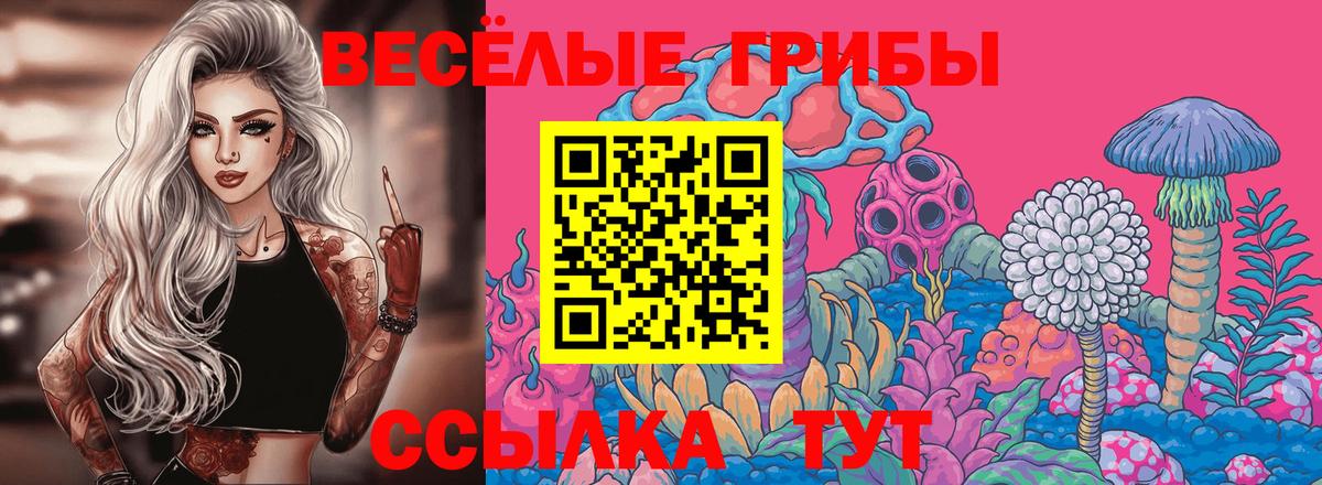 Псилоцибиновые грибы MAGIC MUSHROOMS  Вход с VPN  Россия 